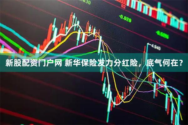 新股配资门户网 新华保险发力分红险，底气何在？